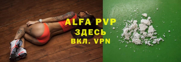 крисы Алзамай