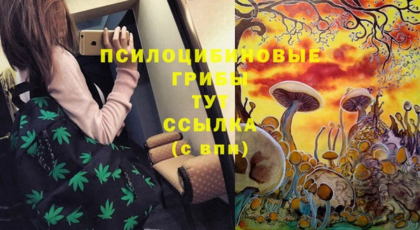 МДПВ Алексин