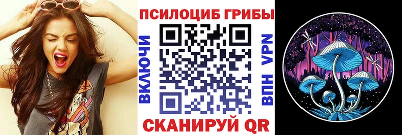 Псилоцибиновые грибы ЛСД  кракен вход  Чистополь 