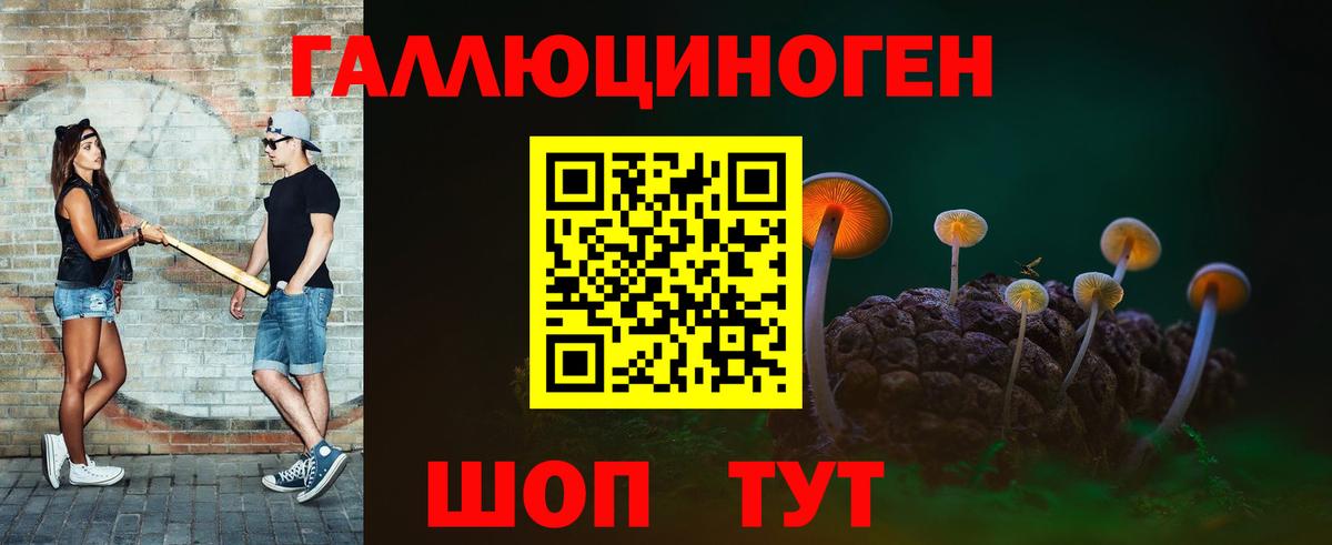 Галлюциногенные грибы Psilocybine cubensis  Галлюциногенные грибы мицелий  Чистополь  Вход с VPN 